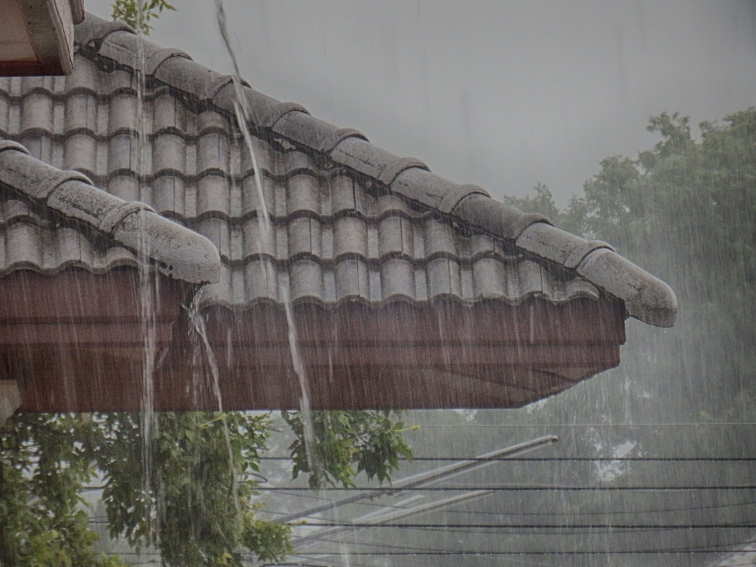 台風被害